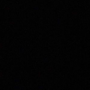 Meet your Posher, Elsa